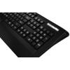 SteelSeries Apex [RAW] (64133)